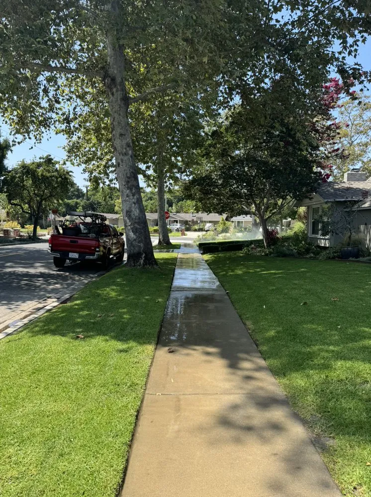 Reliable outdoor landscaping in Inglewood, CA by VG’s Landscape Care