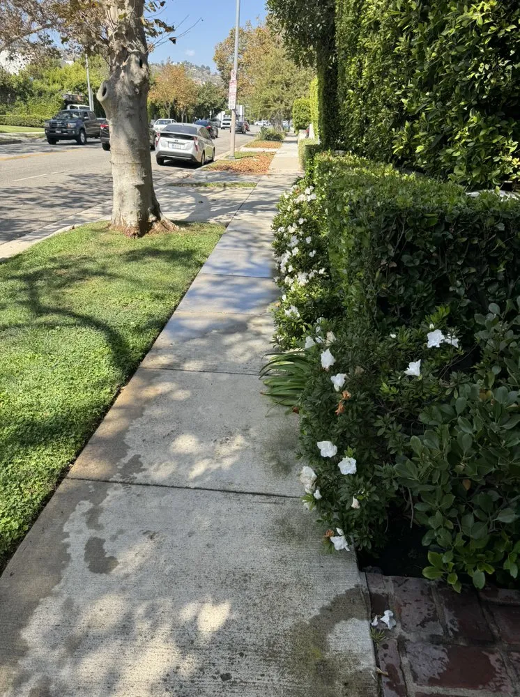 Top-rated landscape installation in Inglewood, CA - VG’s Landscape Care