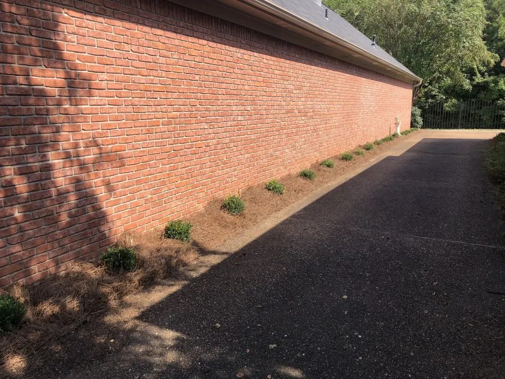 Affordable lawn mowing service experts serving Decatur, AL - V&H Tree Service & Hernandez Landscaping