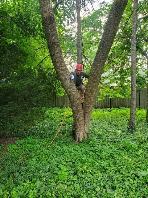 Custom landscape design in Wheeling, IL - VHP Tree Service & Landscaping