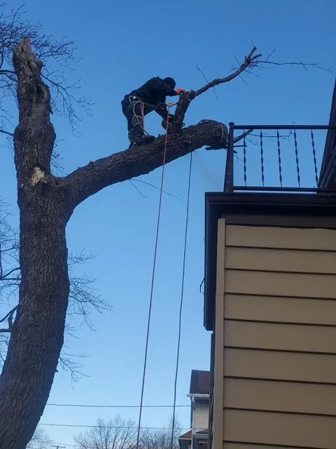 Reliable outdoor landscaping with custom design in Wheeling, IL by VHP Tree Service & Landscaping