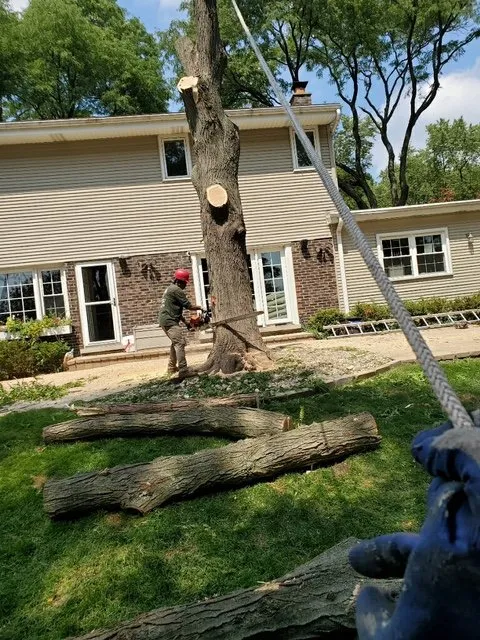 Custom lawn mowing service in Wheeling, IL - VHP Tree Service & Landscaping