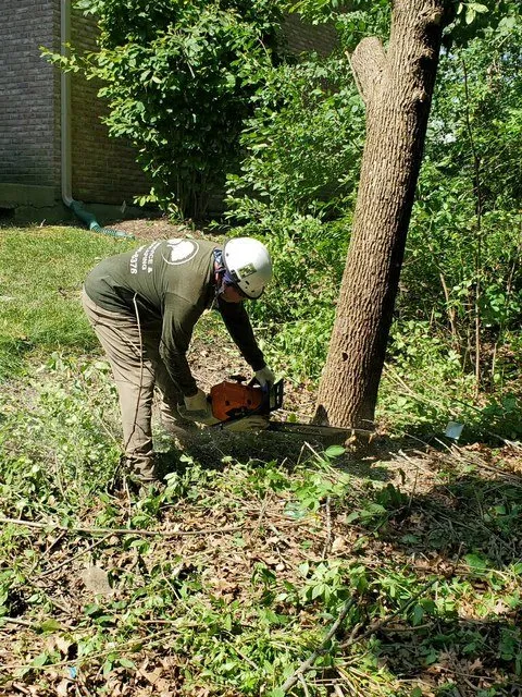 Professional residential landscaping with custom design across Wheeling, IL - VHP Tree Service & Landscaping