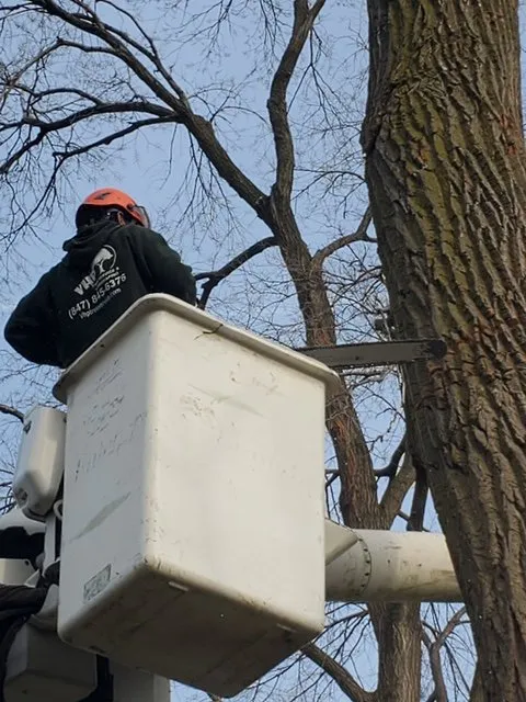 Professional outdoor landscaping in Wheeling, IL by VHP Tree Service & Landscaping