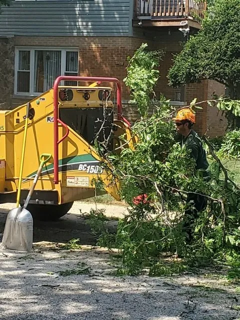 Reliable landscape design for residential properties in Wheeling, IL by VHP Tree Service & Landscaping