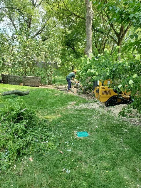 Professional yard maintenance for residential properties across Wheeling, IL - VHP Tree Service & Landscaping