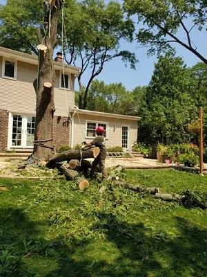 VHP Tree Service & Landscaping Logo