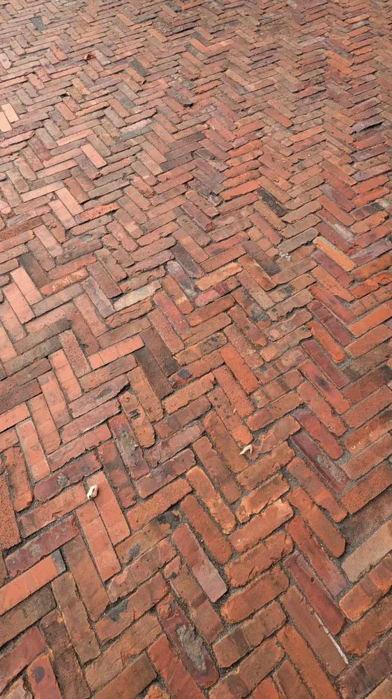 Local lawn mowing service experts serving Freehold, NJ - Vially Pavers & Landscaping