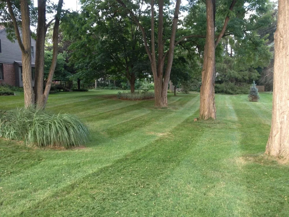 Reliable yard cleanup service in Northville, MI - Vibrant Green Cuts