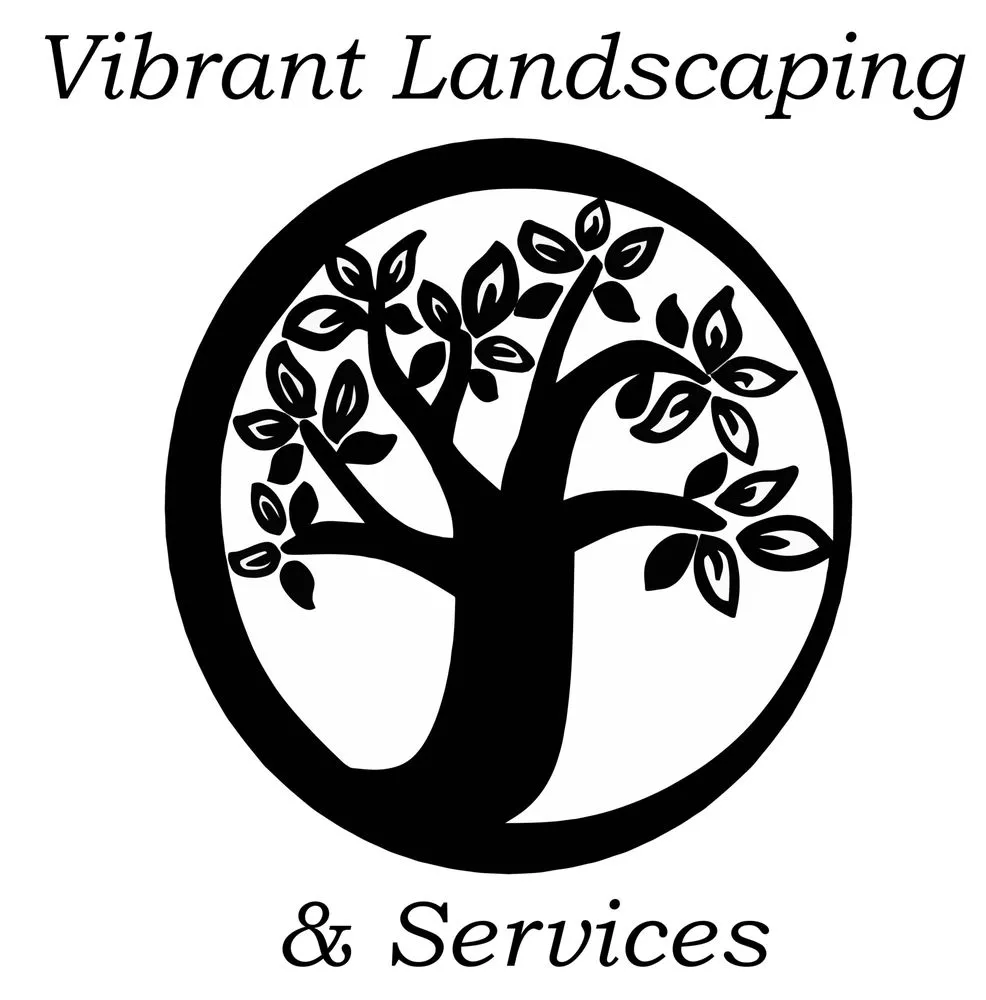 Trusted yard cleanup service in Richmond Heights, OH - Vibrant Landscaping & Services
