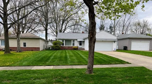 Vibrant Landscaping & Services