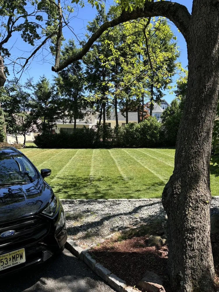 Reliable lawn care service for homes in Hasbrouck Heights, NJ by Vibrant Landscaping