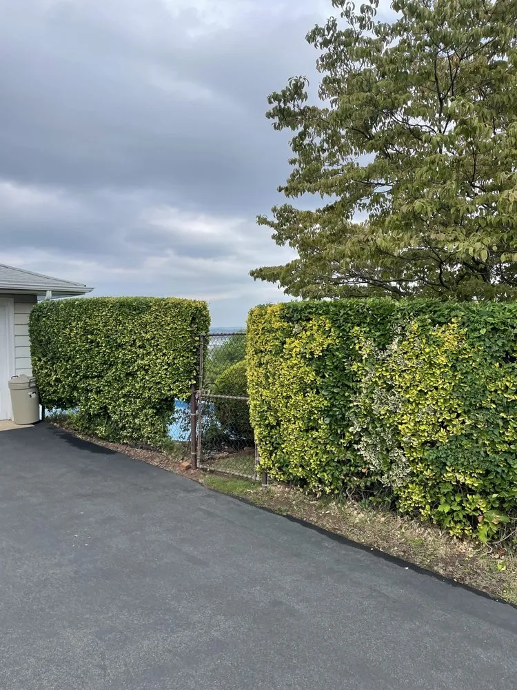 Affordable landscaping services in Hasbrouck Heights, NJ - Vibrant Landscaping