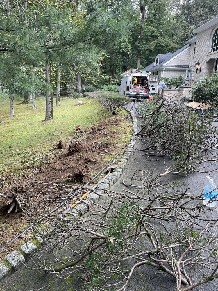 Affordable yard cleanup service near you across Hasbrouck Heights, NJ - Vibrant Landscaping