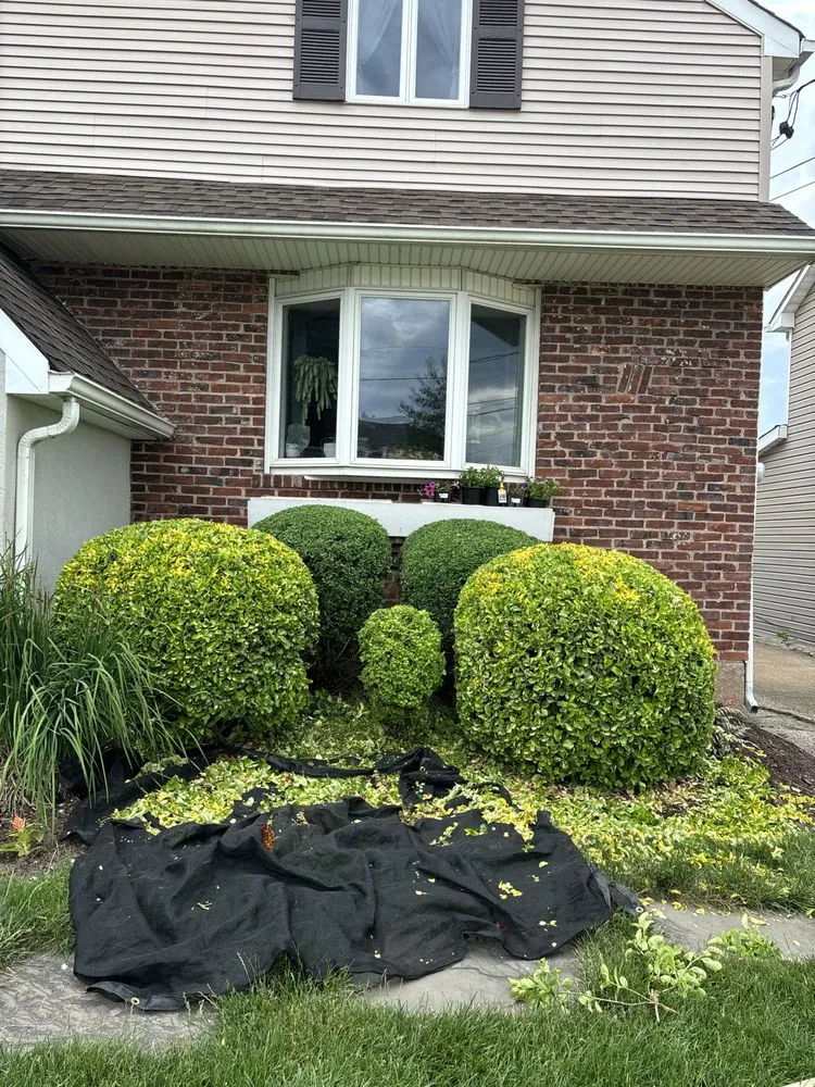 Trusted landscaping services for beautiful yards across Hasbrouck Heights, NJ - Vibrant Landscaping