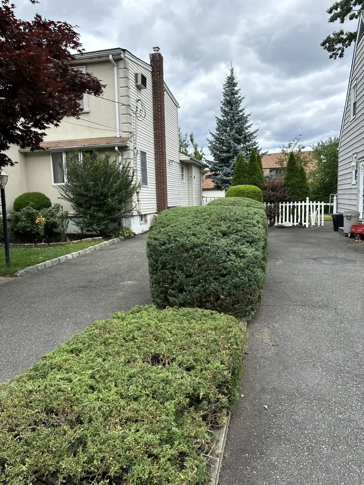 Professional garden landscaping for homes in Hasbrouck Heights, NJ by Vibrant Landscaping