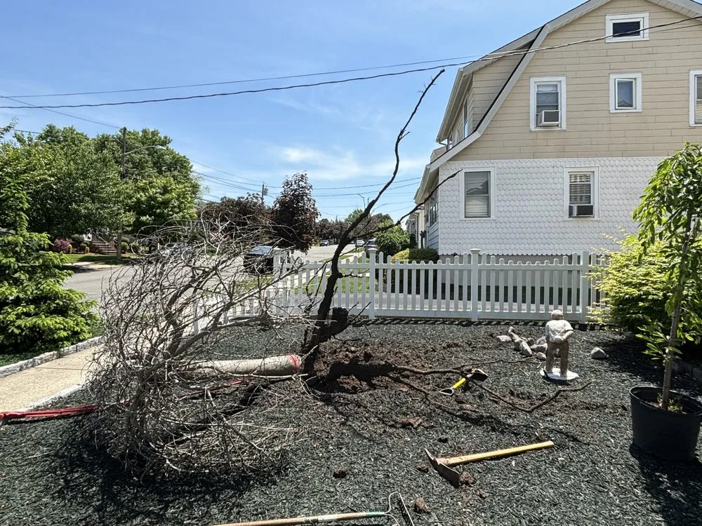 Local outdoor landscaping in Hasbrouck Heights, NJ - Vibrant Landscaping