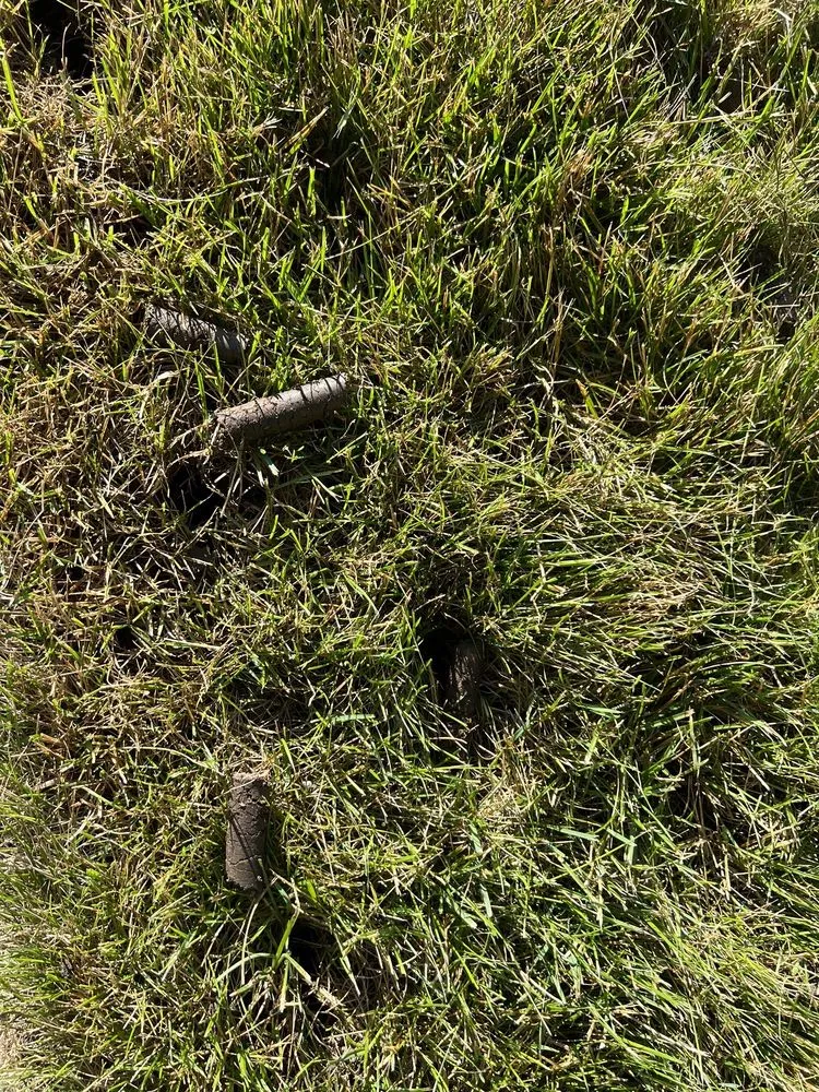 Top-rated outdoor landscaping in Manteno, IL - Vibrant Lawn Solutions