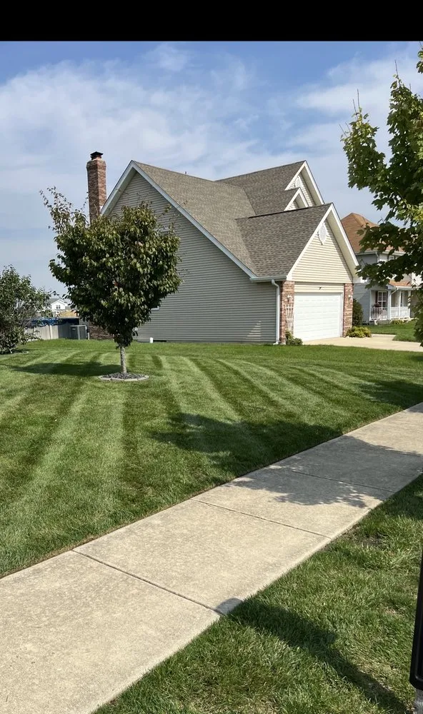 Affordable landscaping services in Manteno, IL by Vibrant Lawn Solutions
