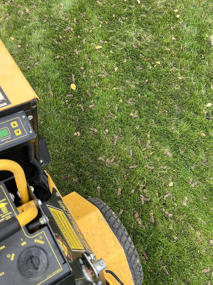 Local landscape design in Manteno, IL - Vibrant Lawn Solutions