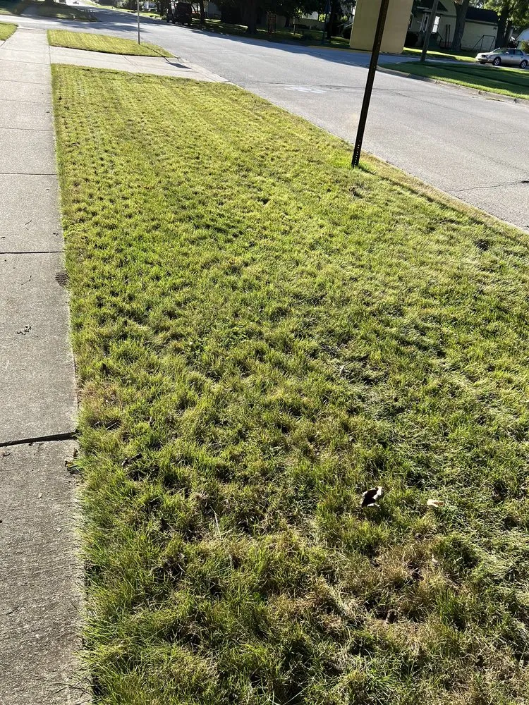 Reliable garden landscaping for year-round maintenance across Manteno, IL - Vibrant Lawn Solutions