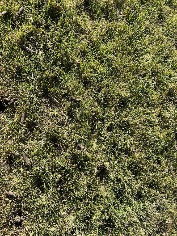 Reliable residential landscaping for residential properties across Manteno, IL - Vibrant Lawn Solutions