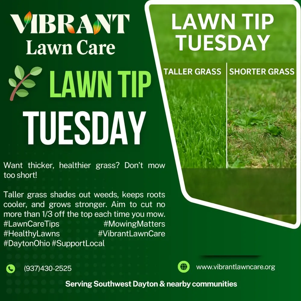 Local landscaping services experts serving Middletown, OH - Vibrant