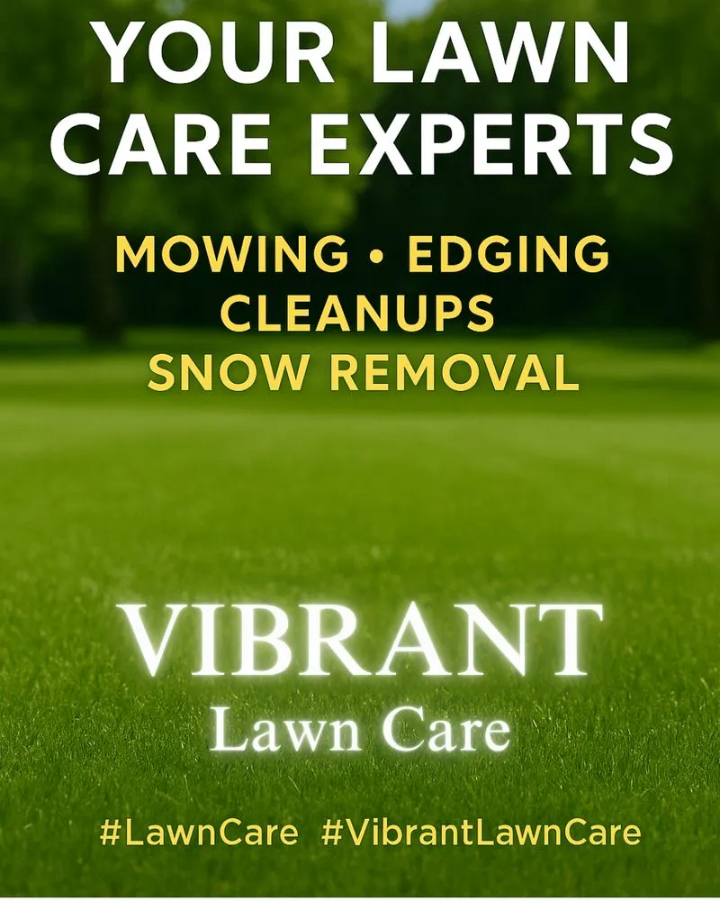 Affordable lawn care service for outdoor upgrades in Middletown, OH by Vibrant