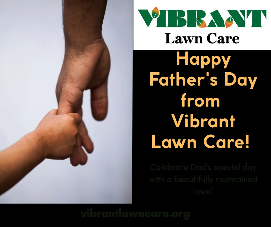 Reliable outdoor landscaping experts serving Middletown, OH - Vibrant