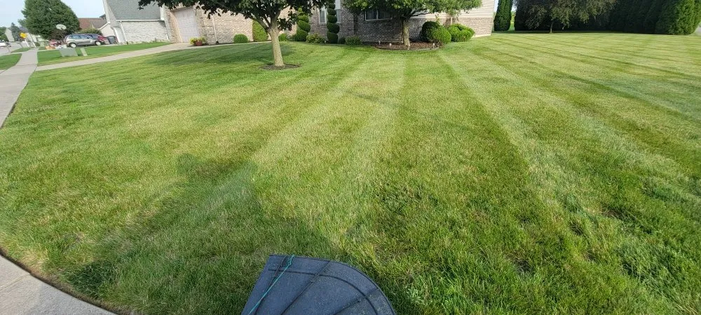 Local landscape design in Kokomo, IN by Vibrant Pro Service