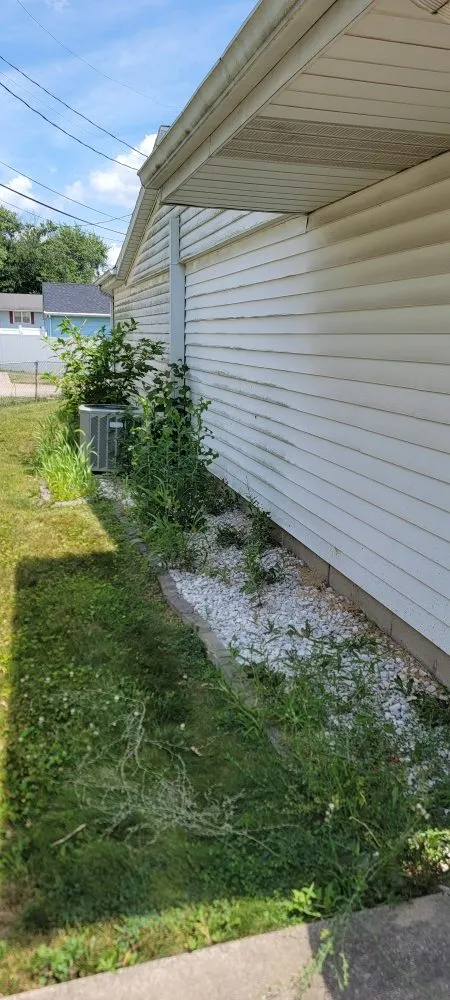 Top-rated landscaping services for residential properties in Kokomo, IN by Vibrant Pro Service