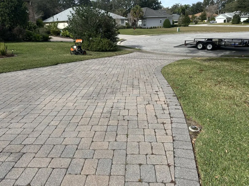 Reliable yard cleanup service experts serving The Villages, FL - Vibrant services