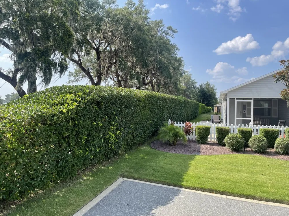 Trusted lawn mowing service for year-round maintenance in The Villages, FL by Vibrant services