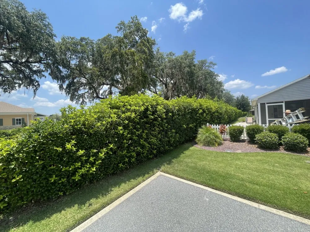 Trusted outdoor landscaping experts serving The Villages, FL - Vibrant services