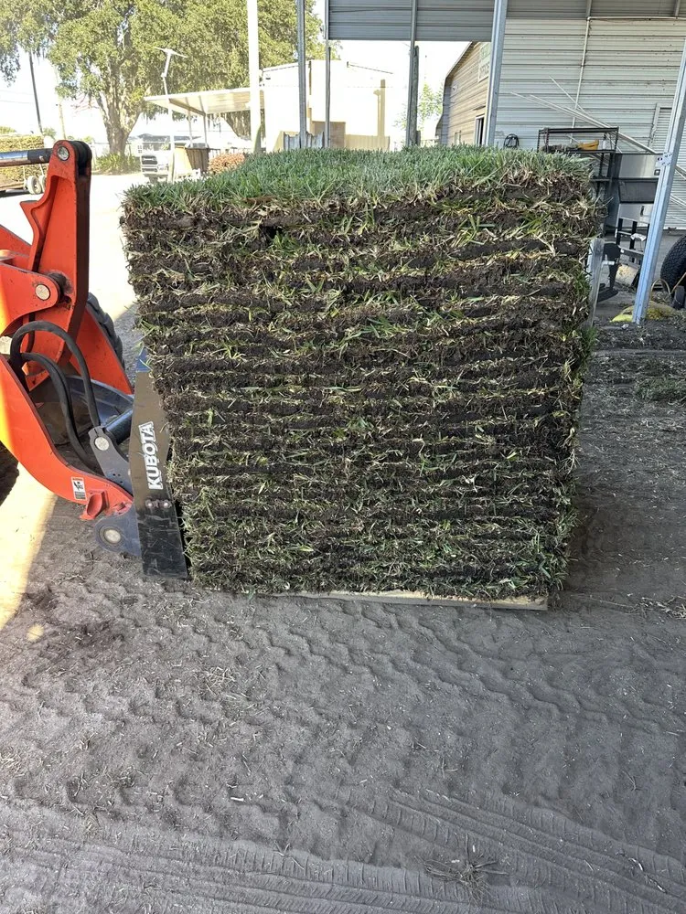 Trusted landscape installation in The Villages, FL - Vibrant services