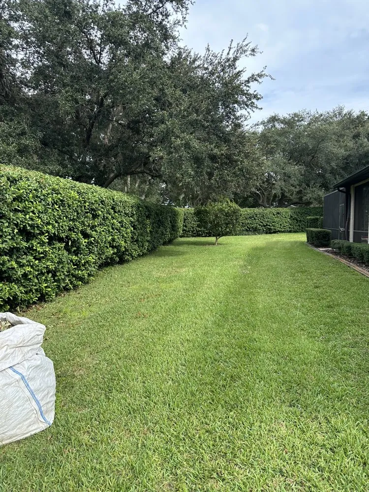Local yard cleanup service experts serving The Villages, FL - Vibrant services