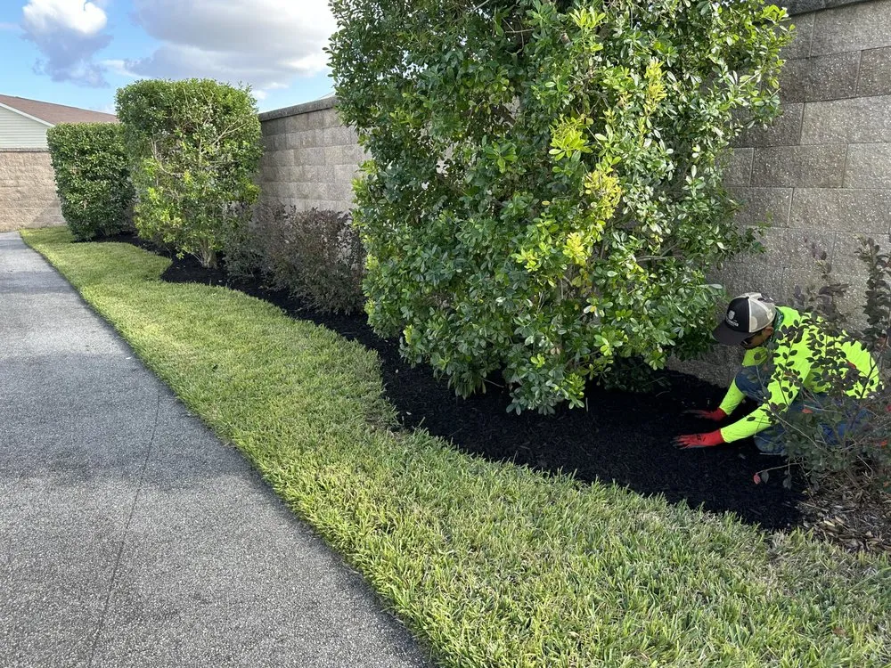 Custom yard cleanup service with custom design in The Villages, FL by Vibrant services