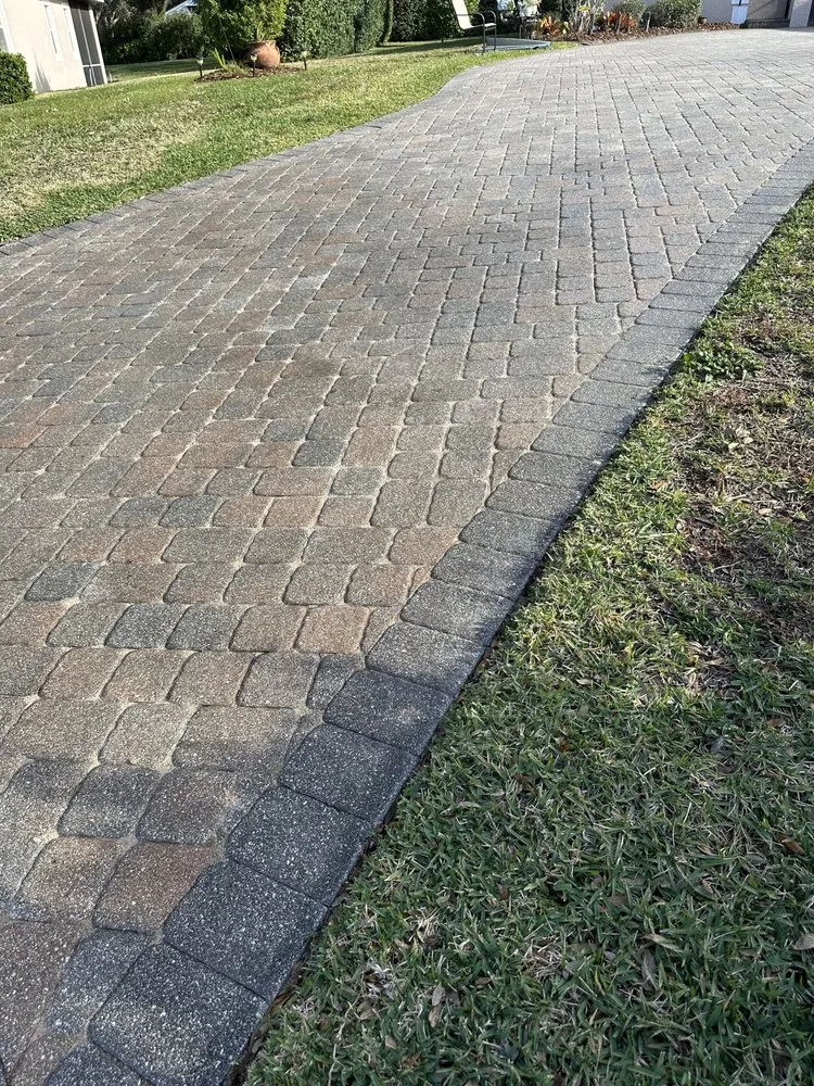 Professional yard cleanup service in The Villages, FL by Vibrant services