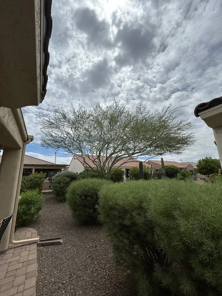 Custom landscape design for outdoor upgrades across El Mirage, AZ - Vibrant Vistas Landscaping and Hardscape