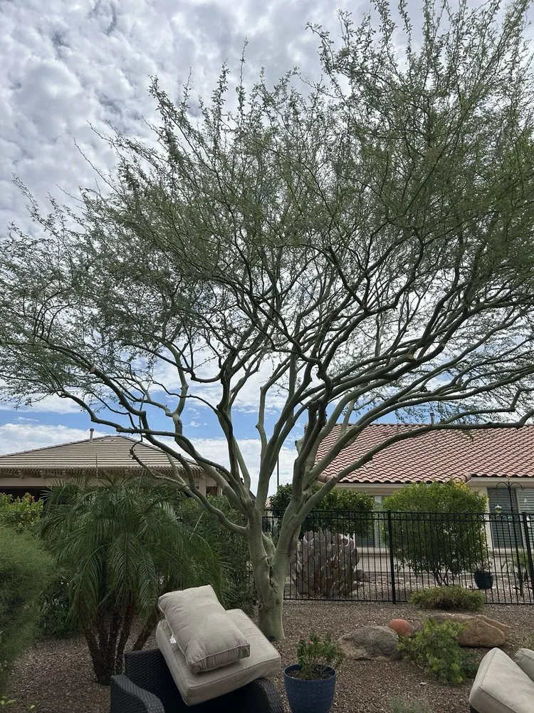 Local yard cleanup service in El Mirage, AZ by Vibrant Vistas Landscaping and Hardscape