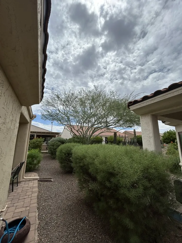 Top-rated outdoor landscaping experts serving El Mirage, AZ - Vibrant Vistas Landscaping and Hardscape