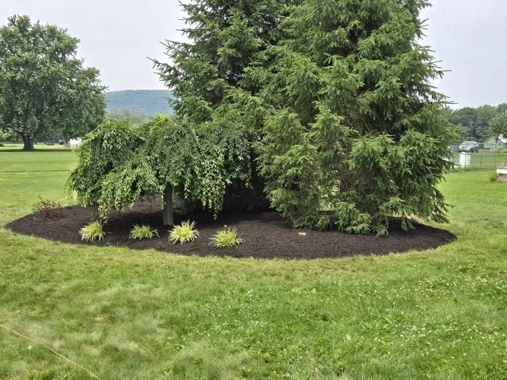 Top-rated residential landscaping experts serving Pottsville, PA - Vic Alvins Lawncare & Landscape Service