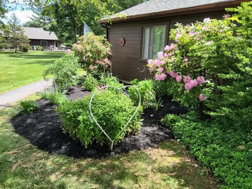 Reliable yard cleanup service experts serving Pottsville, PA - Vic Alvins Lawncare & Landscape Service