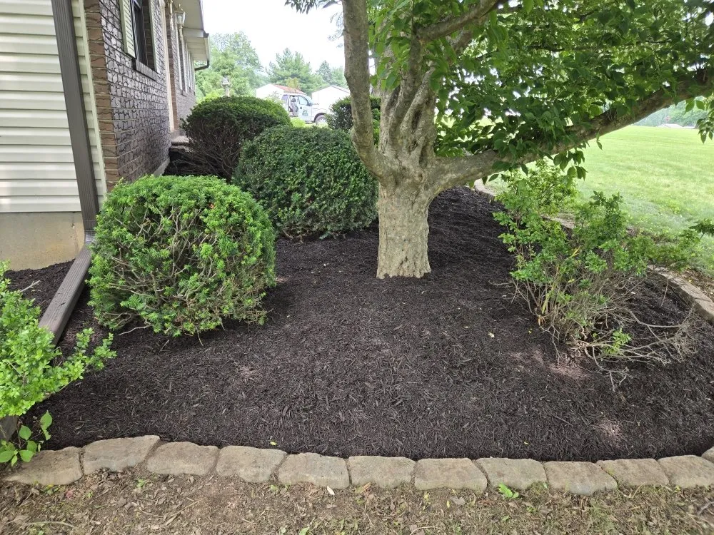 Expert lawn mowing service experts serving Pottsville, PA - Vic Alvins Lawncare & Landscape Service