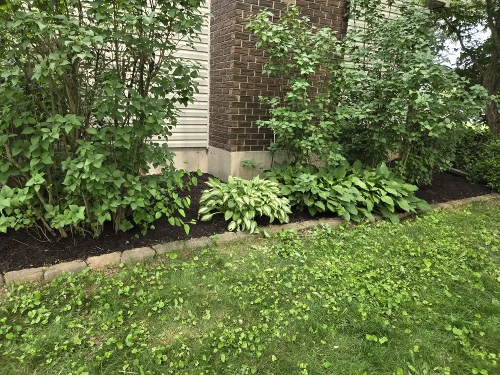 Local outdoor landscaping experts serving Pottsville, PA - Vic Alvins Lawncare & Landscape Service