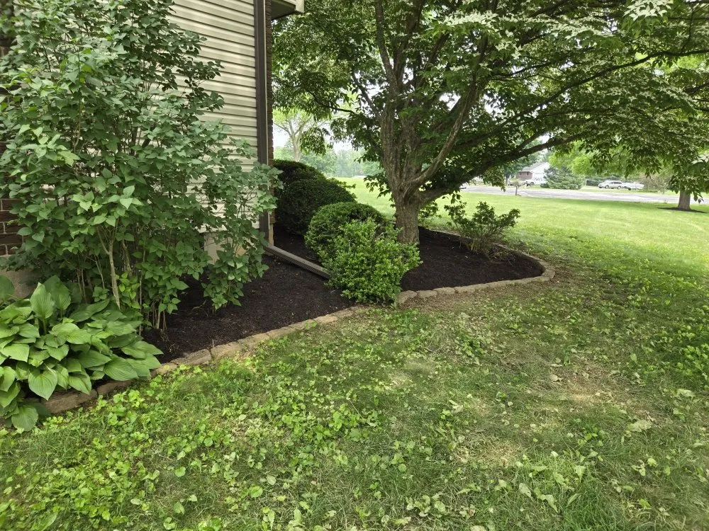 Custom lawn care service in Pottsville, PA by Vic Alvins Lawncare & Landscape Service