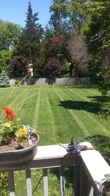 Vic sali landscaping Logo