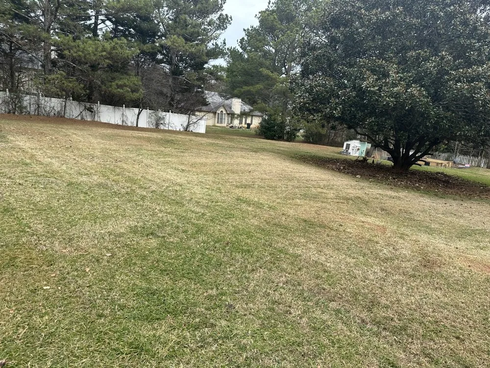 Reliable lawn mowing service experts serving Forest Park, GA - Vicarious Lawn Care