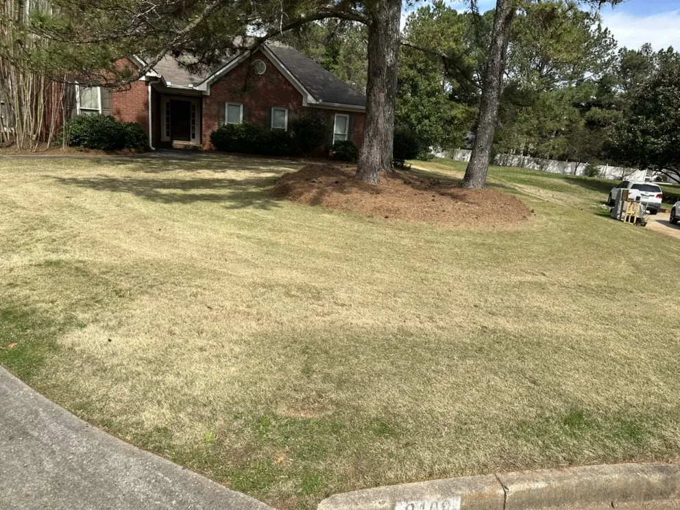 Top-rated residential landscaping in Forest Park, GA by Vicarious Lawn Care