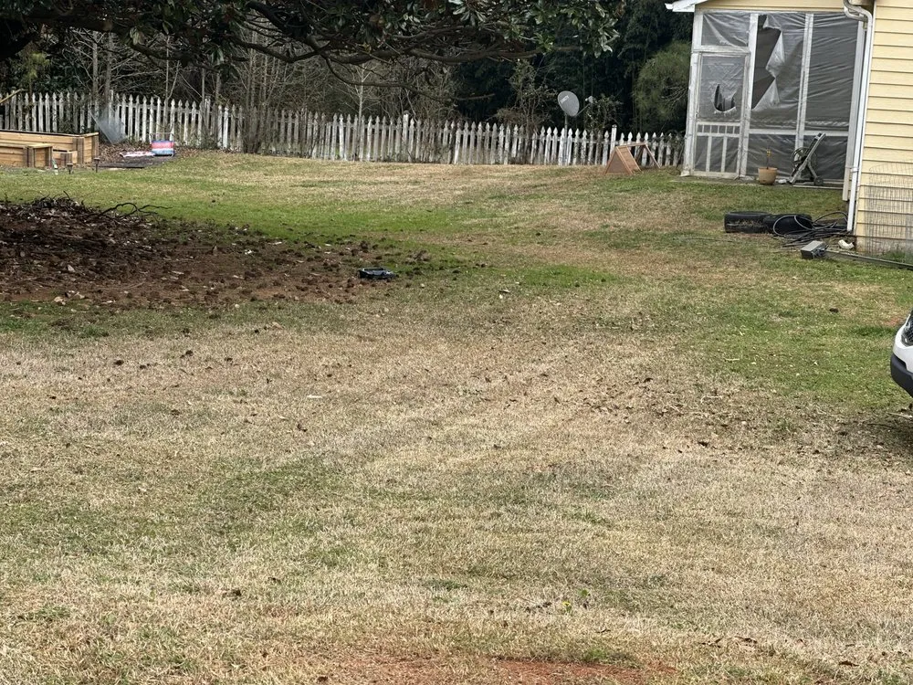 Reliable yard cleanup service experts serving Forest Park, GA - Vicarious Lawn Care